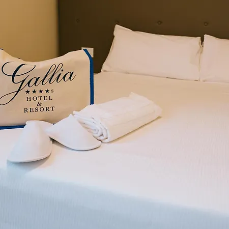 酒店 Gallia &